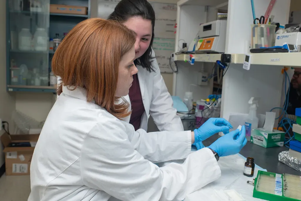 Two students work together to prepare a slide for the microscope